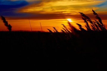 Sunset in the steppe.