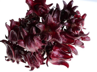 Roselle herb, isolated on a white background.
