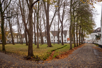 Autumn in the park