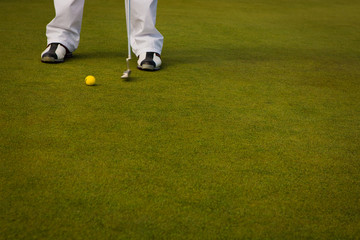 Obraz premium Playing golf. Golf club and ball. Preparing to shot