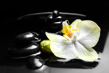 Pebbles and white yellow flower on black background. Spa stones and orchid in water