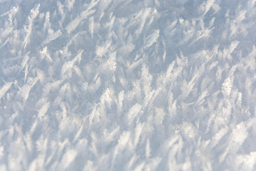Fresh snow background. Each snowflake glitters. White snowed surface.