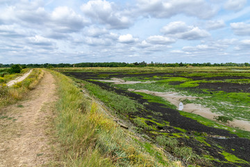 Fototapeta na wymiar Water channels in the mud flats of the Dengie Penisula around South Woodham Ferrers, Essex. UK
