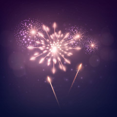 Shining holiday`s Firework. New Year design. Vector