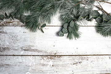Winter Zweig Photos Royalty Free Images Graphics Vectors