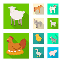 Vector illustration of breeding and kitchen icon. Collection of breeding and organic vector icon for stock.