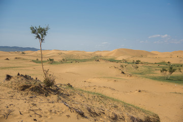 Sand dune desert in mongolia