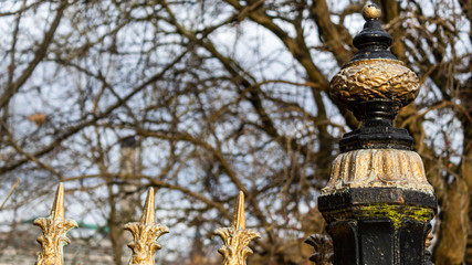 Obraz premium Gold accented fence post