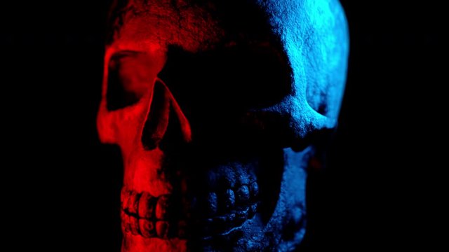Human texture skull rotates on an isolated black background. Neon turquoise and red light. Spook and sinister. Glamour, disco, halloween concept. 3d render