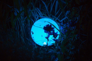 Blaue Lichtkugel nachts im Garten