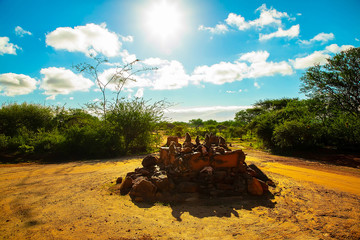 A small flock of wild  vervet monkeys sits on large stones in Tsavo National Park in Kenya at...