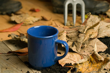 Drinking mug on Autumn leaves background