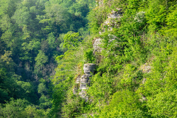 Fototapeta na wymiar Rocky cliff in dense green forest. Spring colors in the mountain forest.