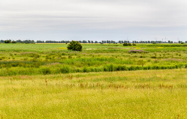 Fototapeta na wymiar Landscape in East Frisia