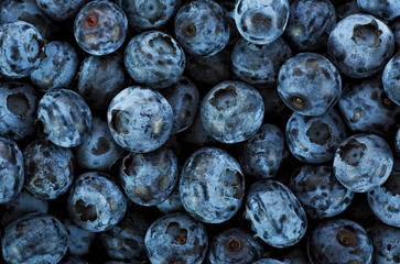 Fresh blueberry background. Texture blueberry berries, top view.