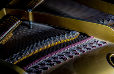 Piano Strings on a baby grand piano