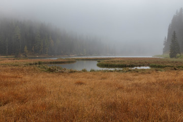 morning on the lake