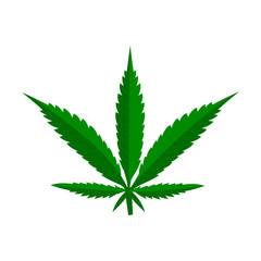 Hemp vector illustration. Cannabis leaf. 
