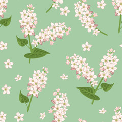 Seamless pattern with blooming buckwheat branches on green background. Vector illustration of cereal plant flowers and green leaves in cartoon simple flat style.