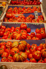 French Market