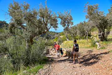 Wandern in der Serra de Tramuntana / Mallorca