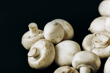 champignon mushrooms on a black background. space for text