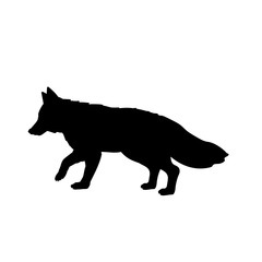 Silhouette of fox. Animal forest wildlife