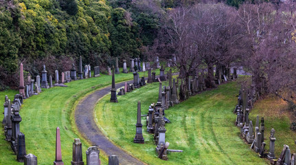 Elevated view of cemetery