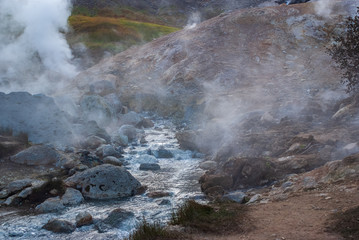 Obraz na płótnie Canvas valley of geysers, green valley of soaring geysers, warm water vapor