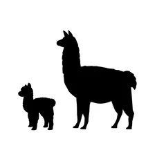 Foto auf Alu-Dibond Silhouette of lama alpaca and young little lama alpaca © KozyrevaElena
