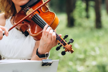 female musician performs at an outdoor wedding. Curl with the neck of the violin closeup. The actor performs at a party. musical instrument. Hands of a violinist close-up. - obrazy, fototapety, plakaty