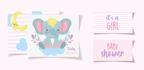 cute elephant decoration its a girl baby shower card