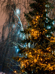 Christmas holidays. Illuminating lights of a garland in the branches of fir and birch outdoor at winter night