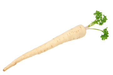 fresh parsley root isolated on white background