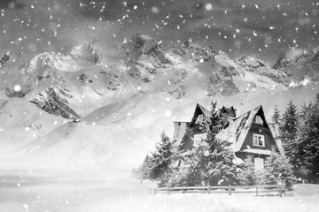 Fototapeta na wymiar Christmas background for holidays