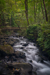 Wooden footbridge over flowing creek in beautiful lush green forest of Oregon