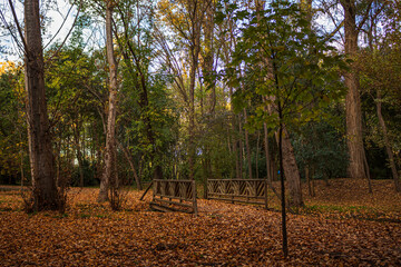 Jard&iacute;n del Principe