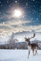 Rolgordijnen Herten in prachtig winterlandschap met sneeuw en sparren op de achtergrond. © belyaaa