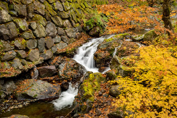 兵庫県・氷ノ山、横行渓谷の景色
