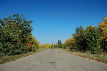 Fototapeta na wymiar apple trees along a rural road