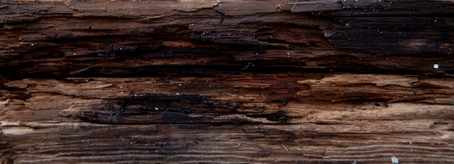 Empty dark wood background to insert. space for text.