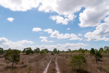 Rural Roads.Rural Village Landscape