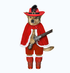 The dog musketeer in a red cloak, a hat with a feather and boots has a flintlock pistol. White background. Isolated.