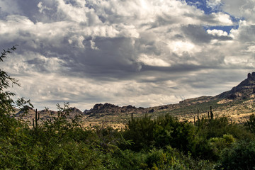 Fototapeta na wymiar Superstision Mountain landscape from the Lost Dutchman Park, Arizona