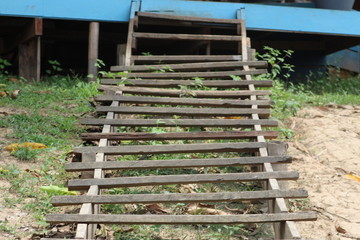 stairs in the garden