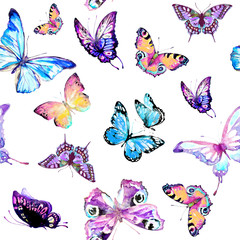 Obraz na płótnie Canvas pattern beautiful color butterflies set