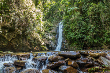 Small beautifull waterfall in a rainforest