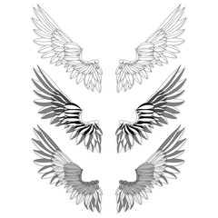 Bird wings set isolated on a white background. Vector illustration. Monochrome...