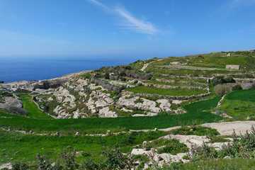 Fototapeta na wymiar Coast in San Lawrenz on Gozo