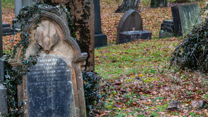 Gravestone with some ivy